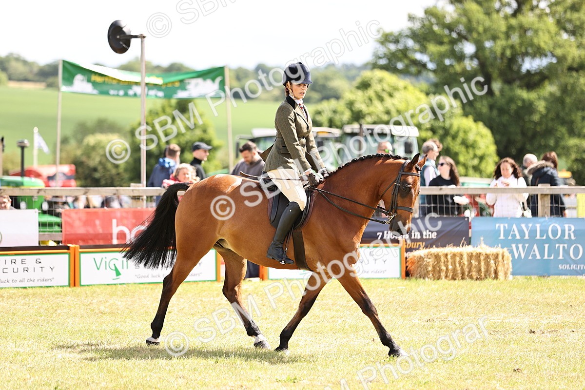 SBM_14519 - Class 88-89 - LIHS BSHA Rising Star of Ridden Hunter Type