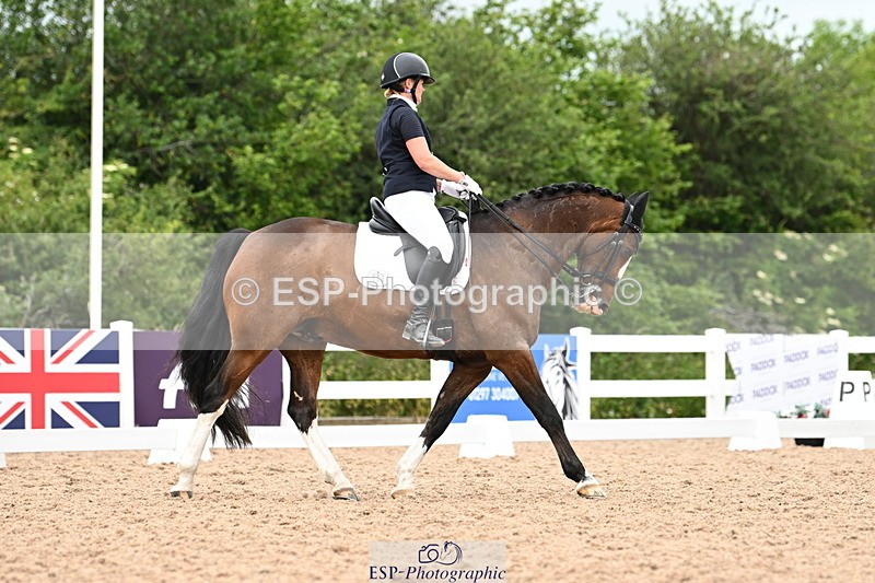 240623A-155051-19802 - Cls 54 BD Medium 73