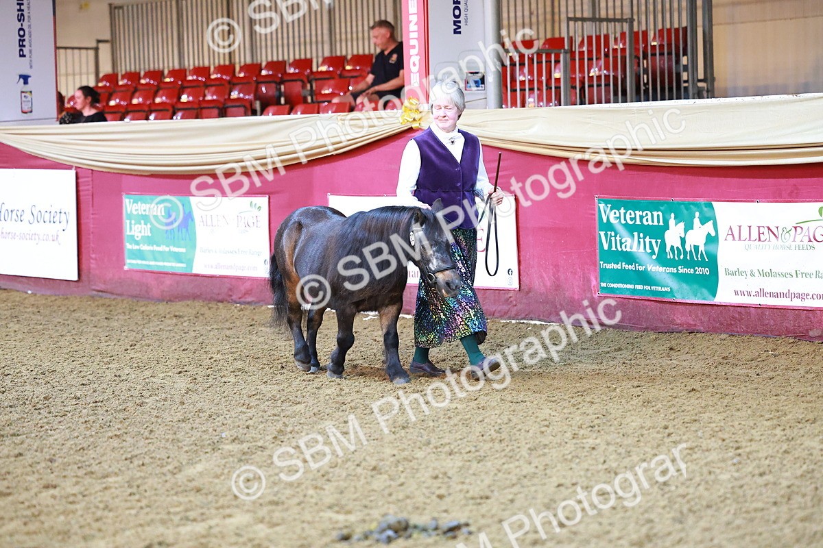 SBM_14662 - Class C - Novelty champ