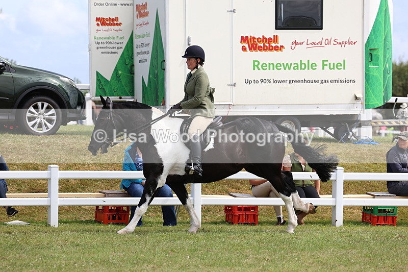 3E7A0226 - Class 6: Rising Star Maxi Cobs