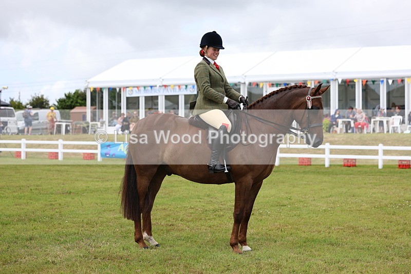 3E7A1273 - Class 8: Open Riding Horse/Hack