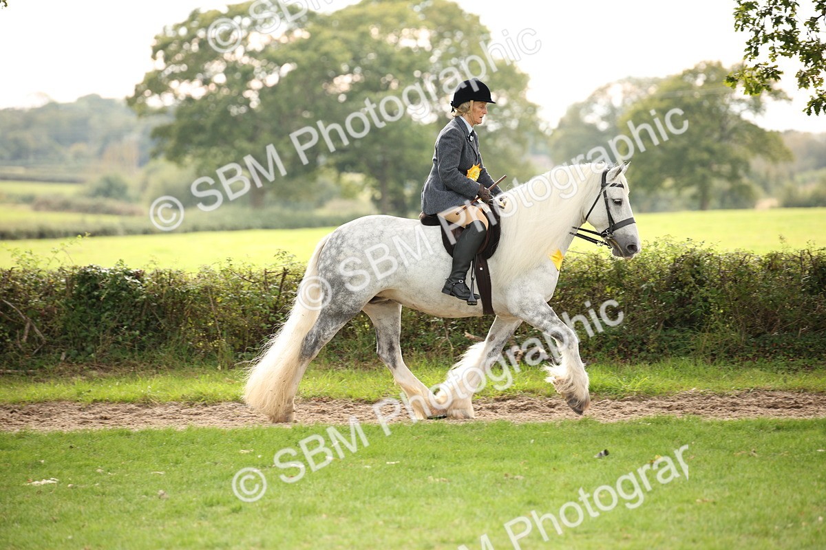SBM_73627 - Ridden Horse Supreme Championship