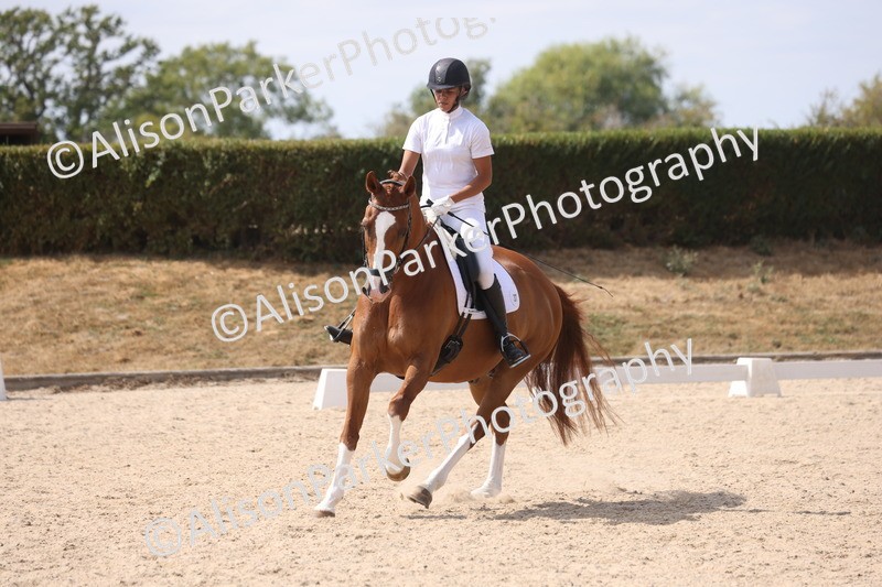 20260815-0993 - Class 5 - Novice 1