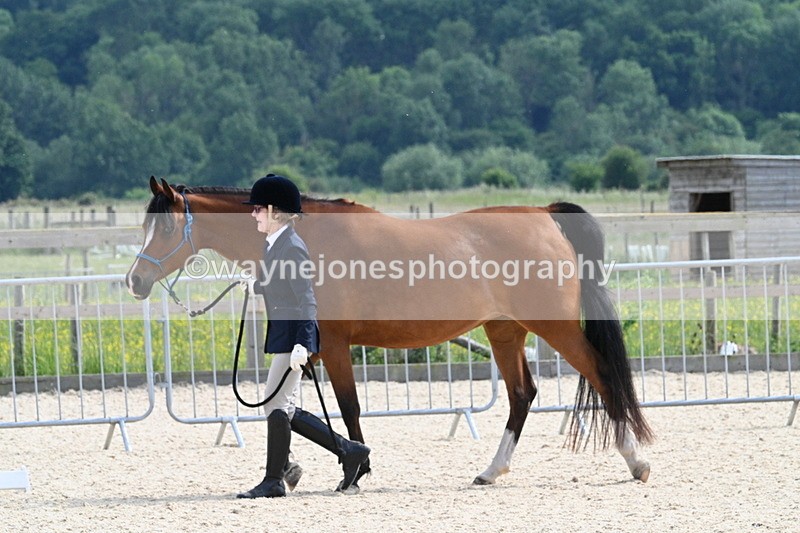 WJ7_8183 - Time 16:10 to 16:25