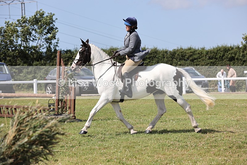 JPP_2320 - Class 19: Working Hunter 60cm