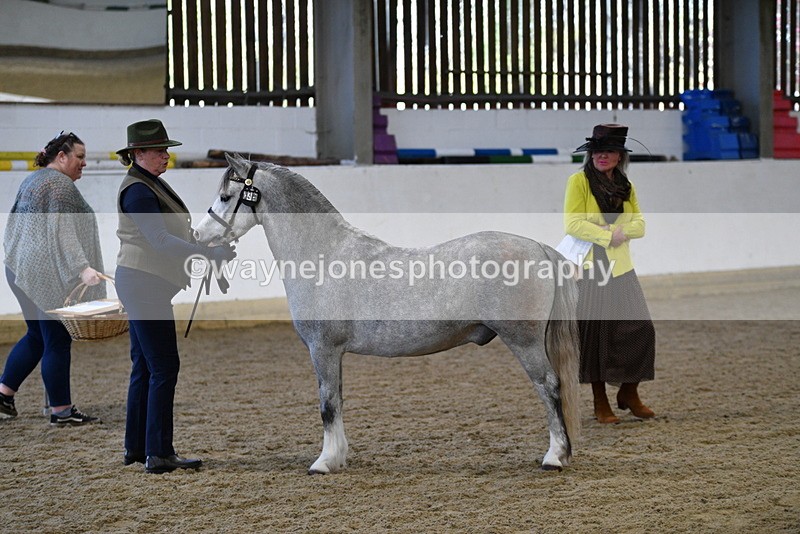 WJ5_3949 - Class 2 Best Condition In hand