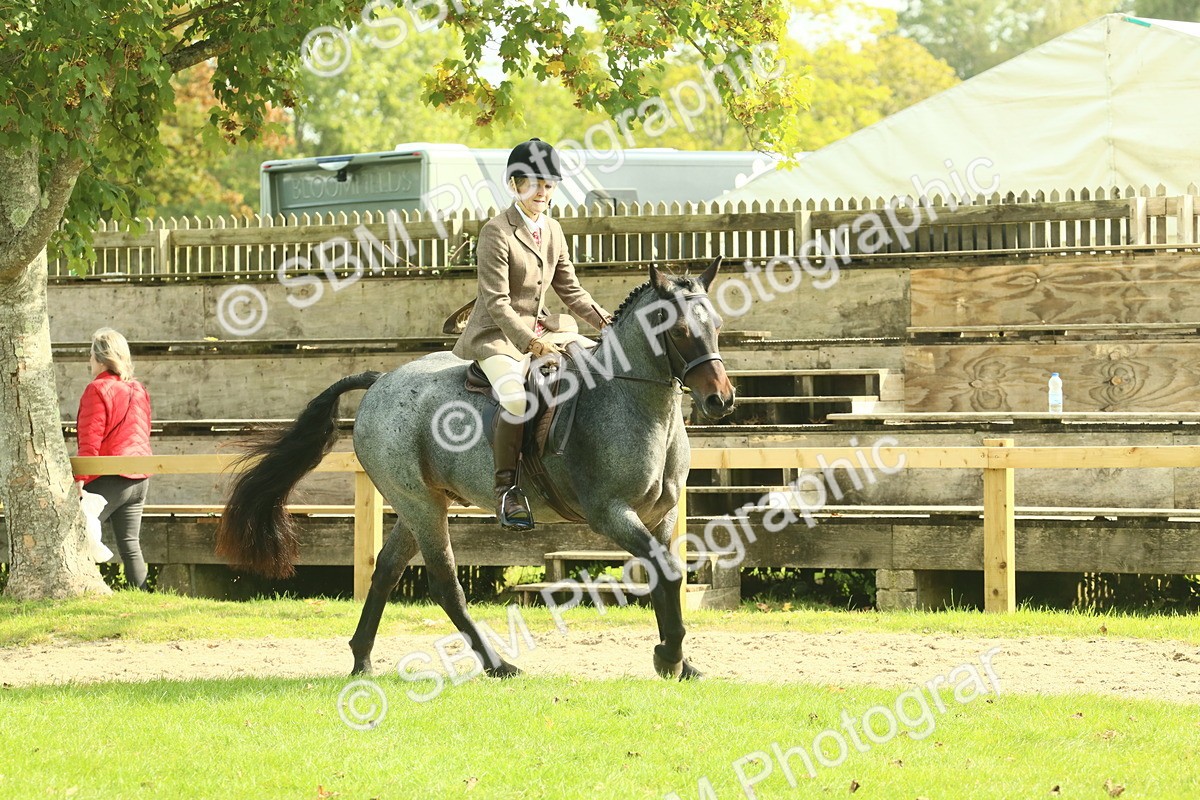 SBM_62612 - S63 - Other Coloured Horse Ridden