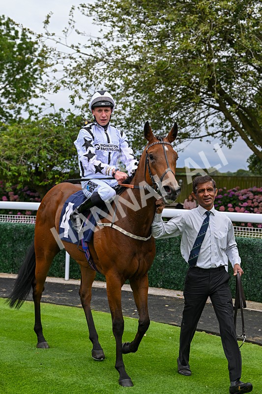 150824-Race 2-Greek Gift-7700 - Race 2