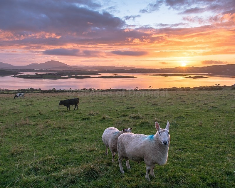 MF1_0307 - Mulroy Bay & Bridge