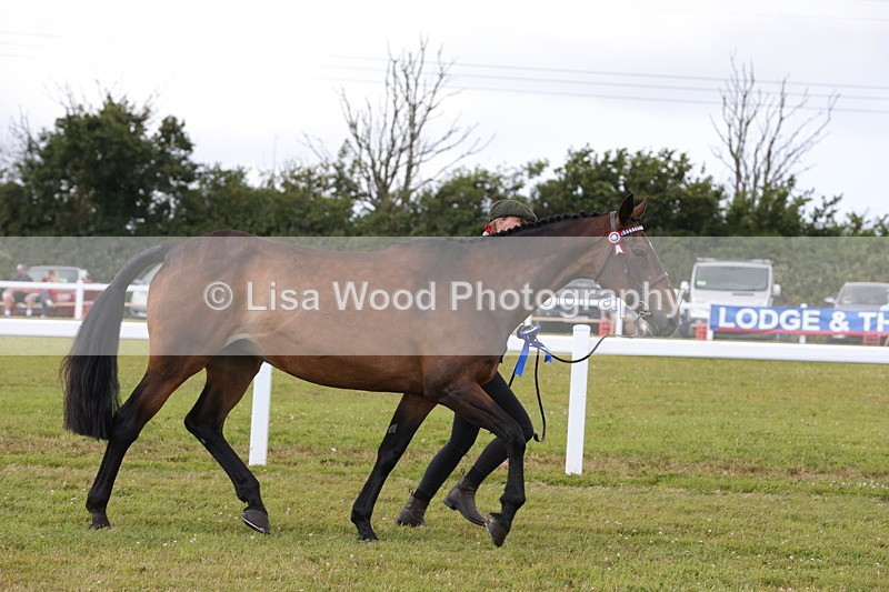 1X9A4926 - Class 35: Veteran In Hand