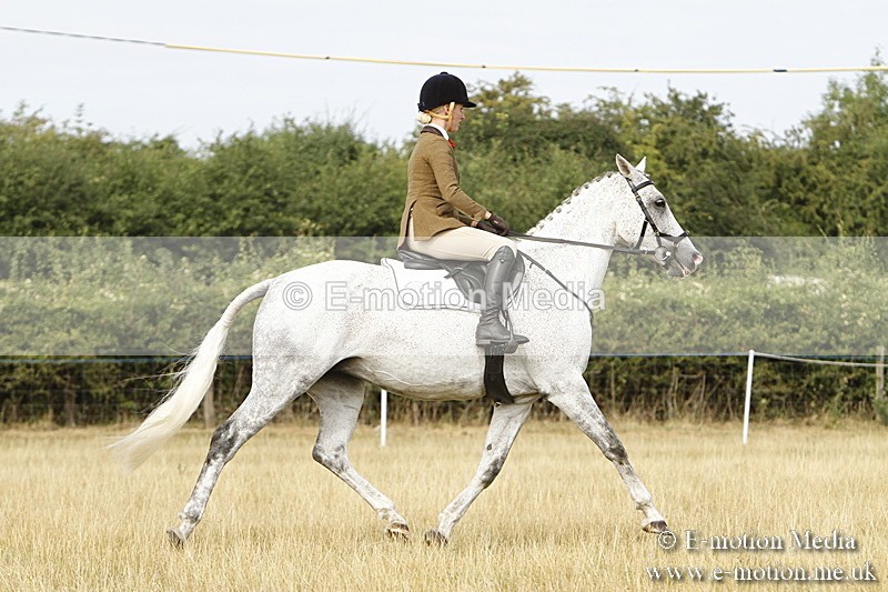 _BS_0508 - BVRC Show 2018 Ring 3