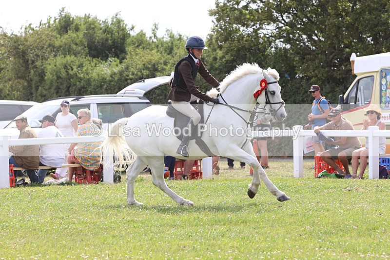 JPP_3975 - Class 23: Working Hunter 80cm