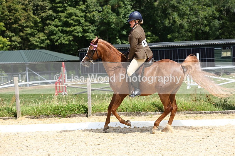 1X9A8356 - Class 13: Arab Ridden