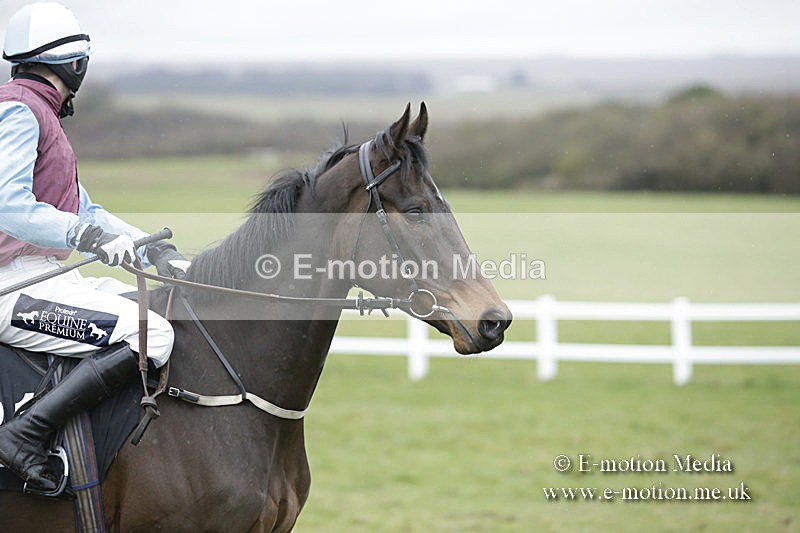 PtP 150320 0264 - New Forest Point-to-Point Larkhill 15/03/20
