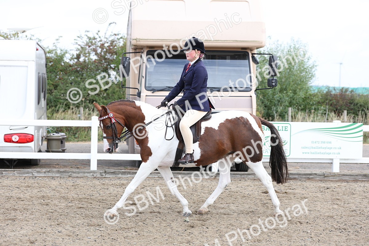 SBM_01493 - Class 52 - Ridden Veteran