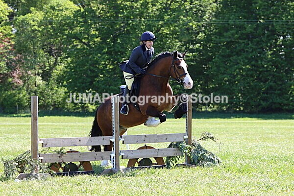 IMG_4074 - Working Hunter