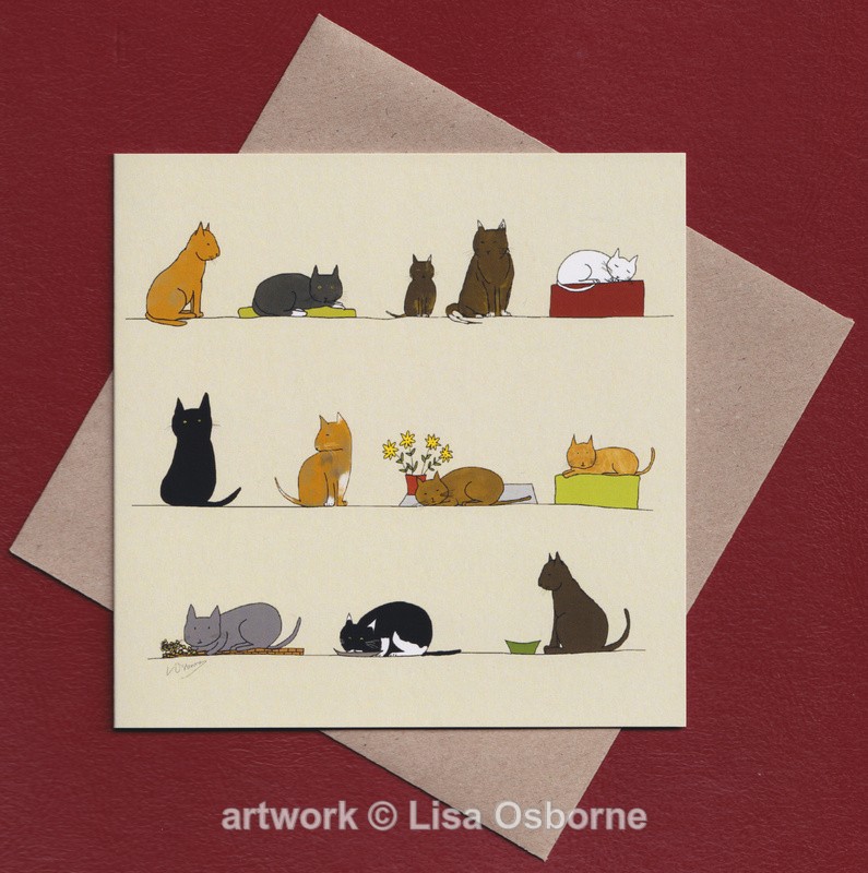 Cats greetings card - Cards