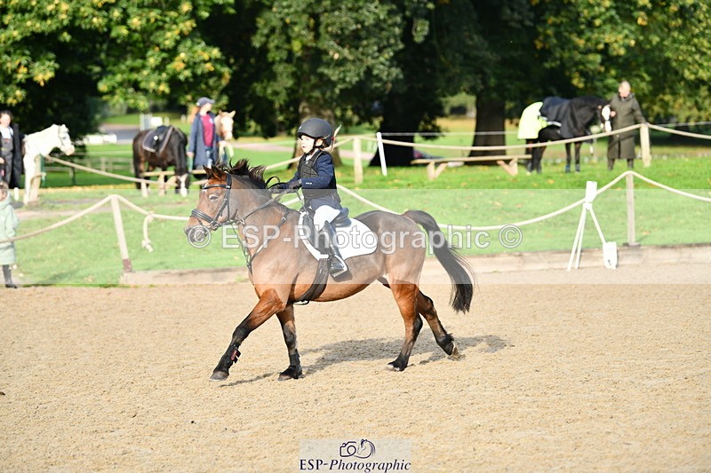 251004A-094031-00217 - Classes 1-2-3 40cm