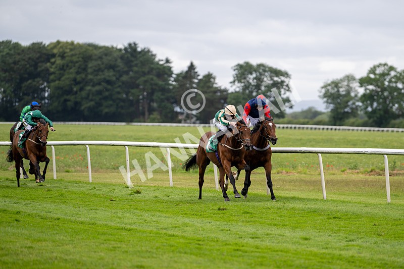 030724-Race 2-The Crafty Mole-0498 - Race 2