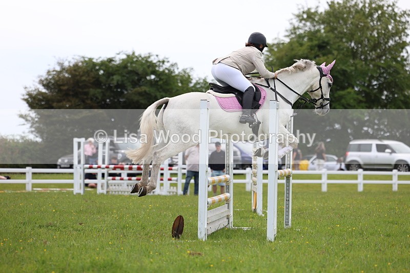 3E7A1757 - Class 13: Senior British Novice/90cm open