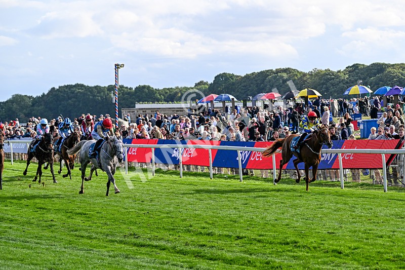 210826-Race 7-Silver Lake-7400 - Race 7 17.20pm Sky Bet EBF Fillies' Handicap