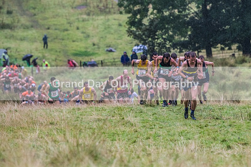 Grasmere Senior-20 - Grasmere Guides Senior Fell Race Sunday 25th August 2024