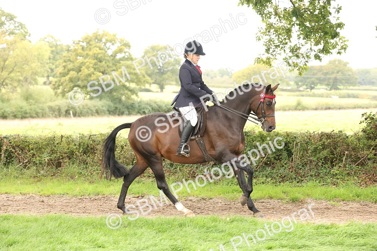 SBM_64216 - S65 - Riding Horse & Hack & Thoroughbred Ridden
