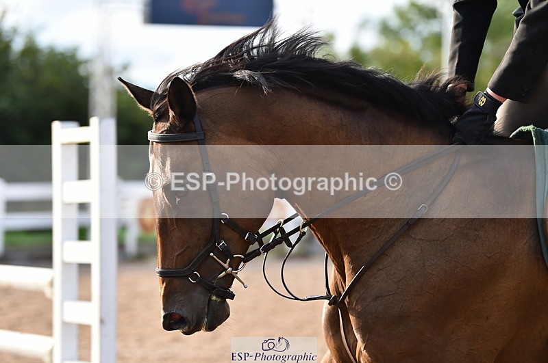 220829A-180748-00509 - 90cm classes