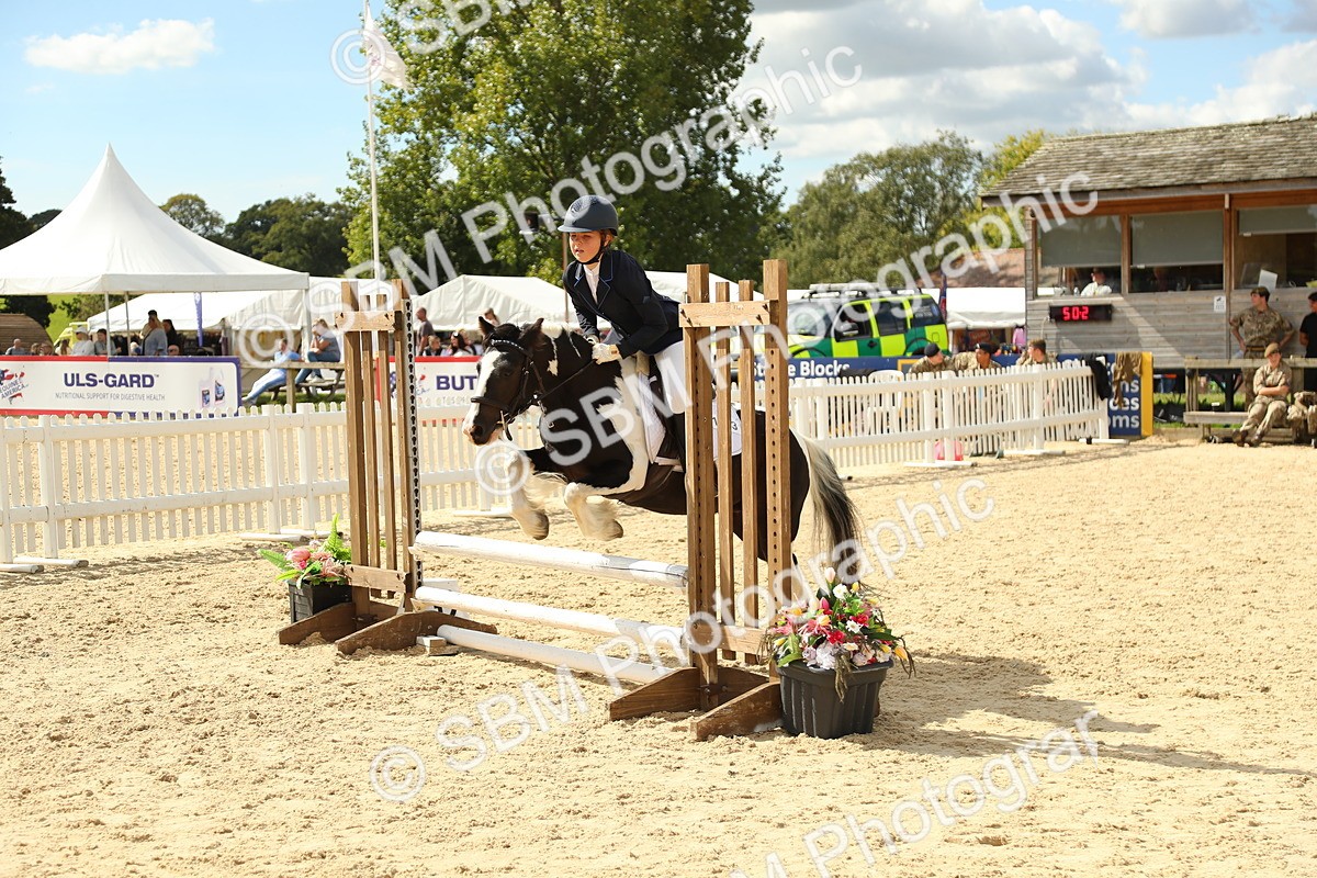 SBM_41390 - J6 - Junior Pony 55cm Championships