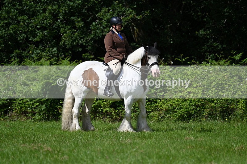 WJ7_1183 - Class 11 Condition & Turnout