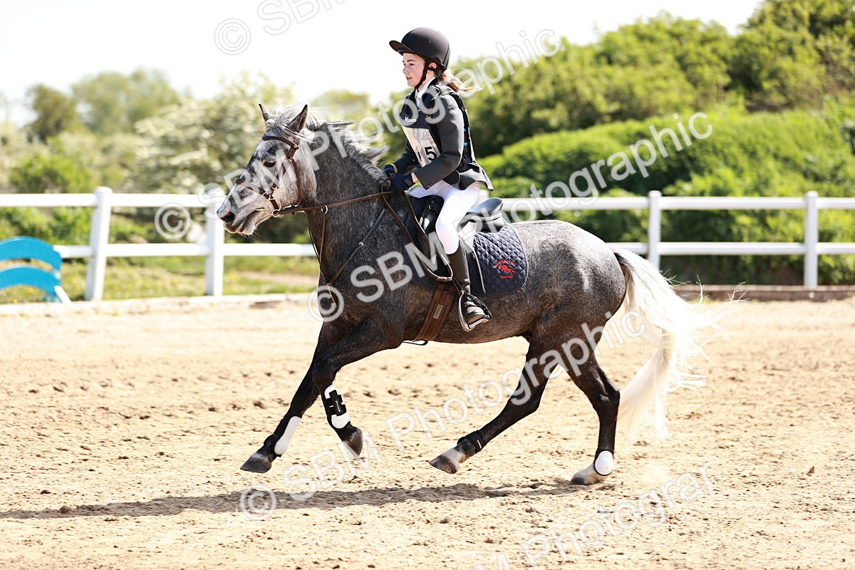 SBM_006888 - Class 2 - 50cm