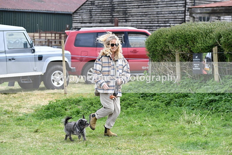 WJ5_9210 - Class 1 Best Cross Breed / Heniz 57