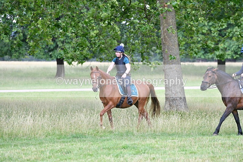 WJ5_2291 - Time at Jump 14:02 to 14:46