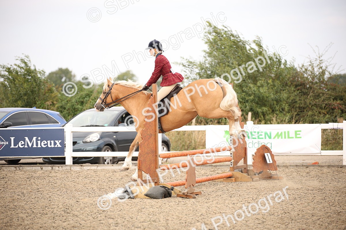 SBM_16199 - Class 409a - Working Veteran 80cm (15-19)