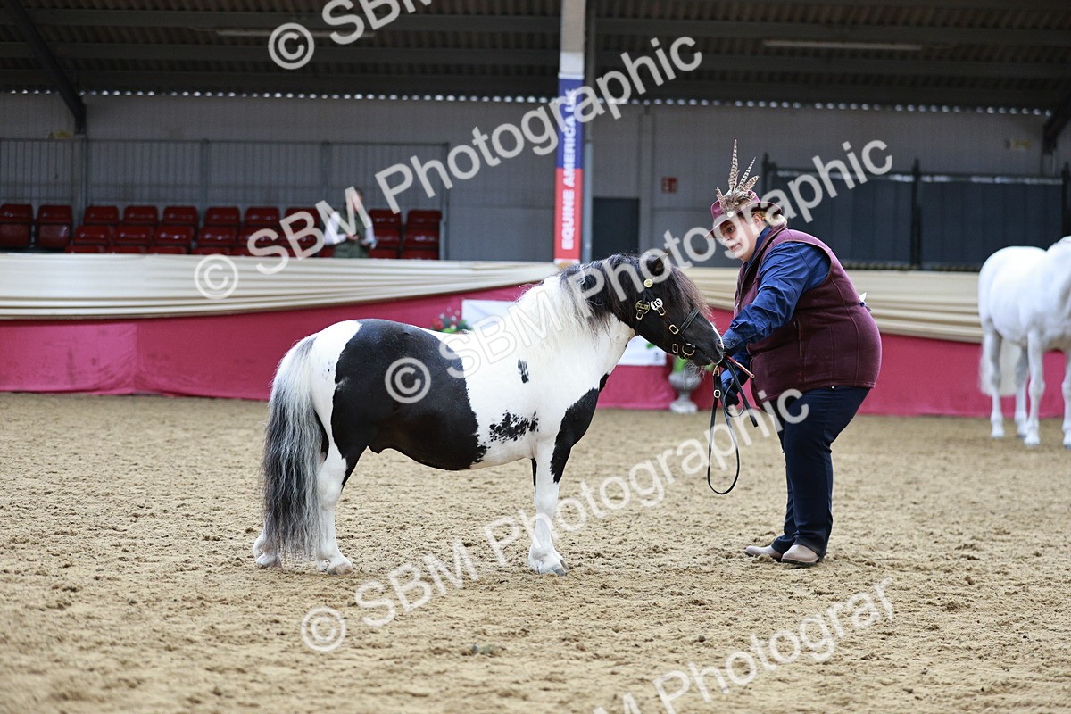 SBM_01271 - Class 3A - Area IH Pre-Vet