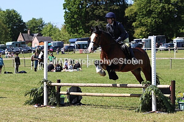 IMG_4065 - Working Hunter