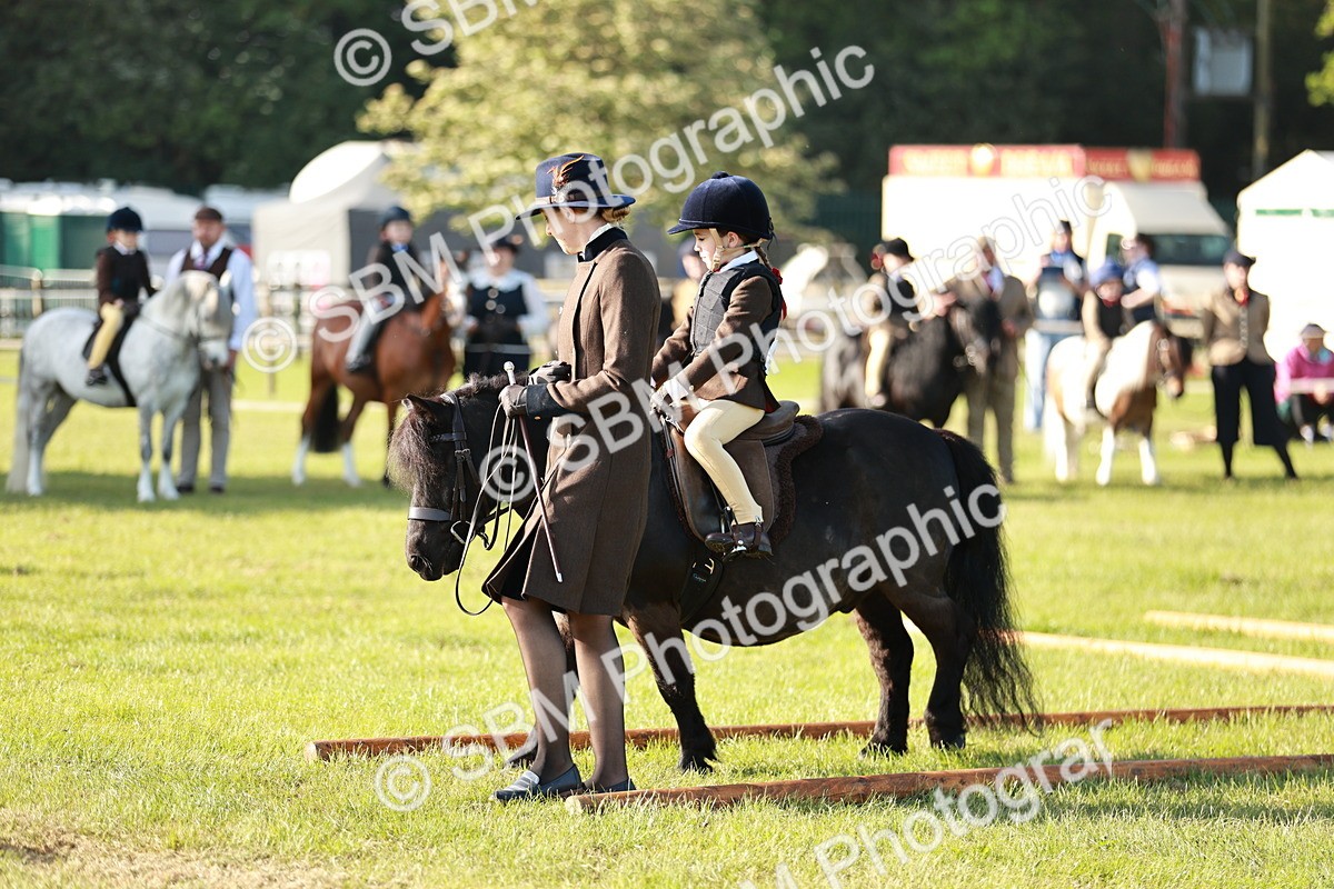 SBM_11073 - Class 106-107 - BSPS LIHS Working Sports Pony
