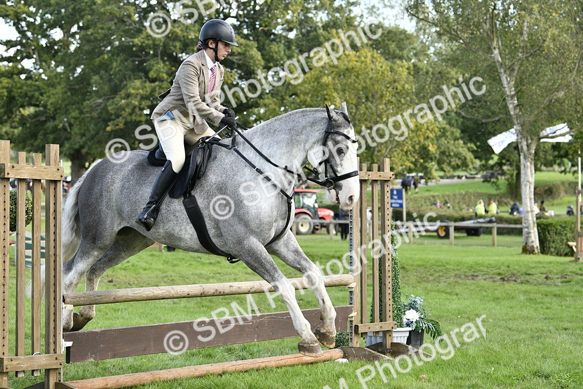 SBM_52196 - S35 - Working Hunter & Working Show Horse