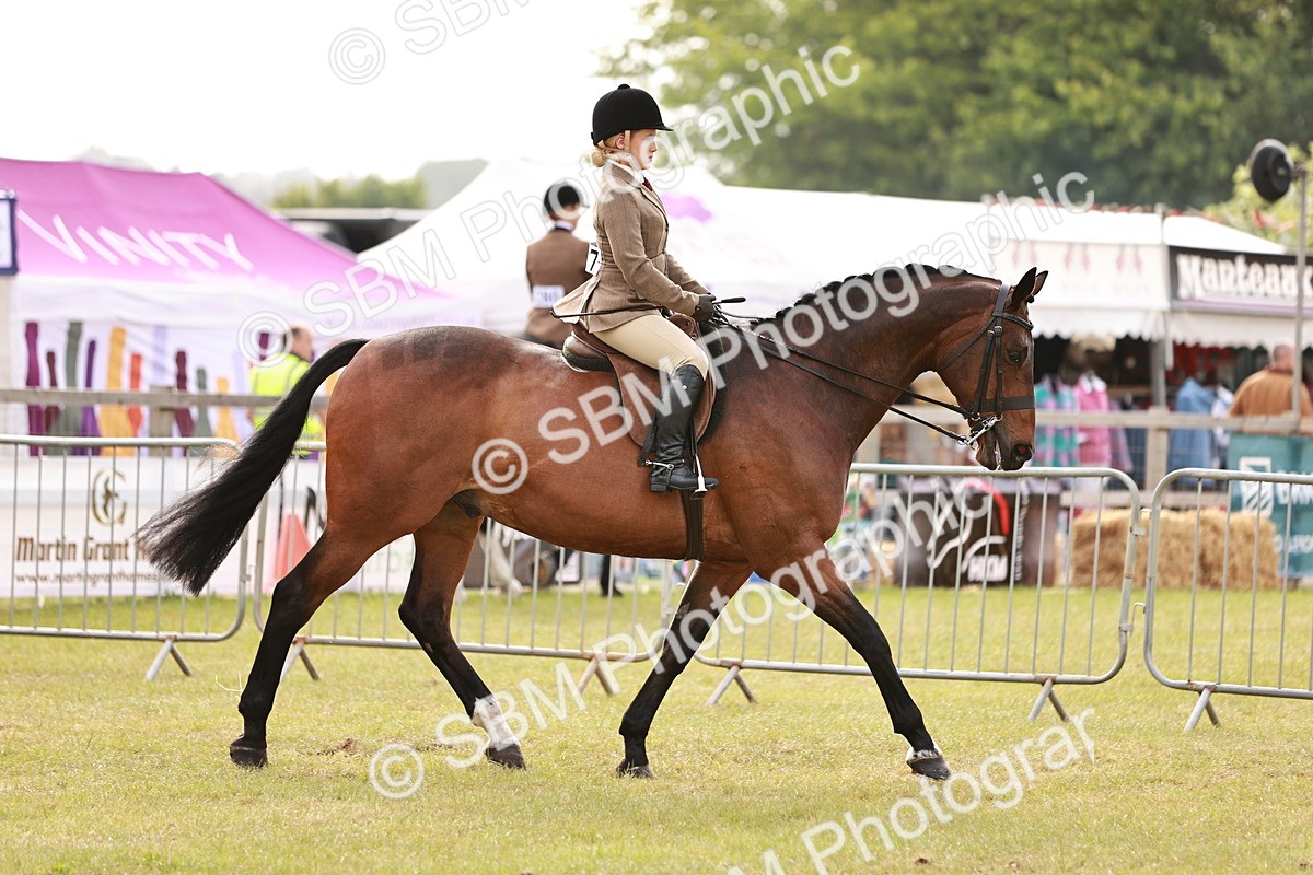 SBM_10843 - Class 81-84 - RIHS Ridden hunters Inc Ladies Hunter