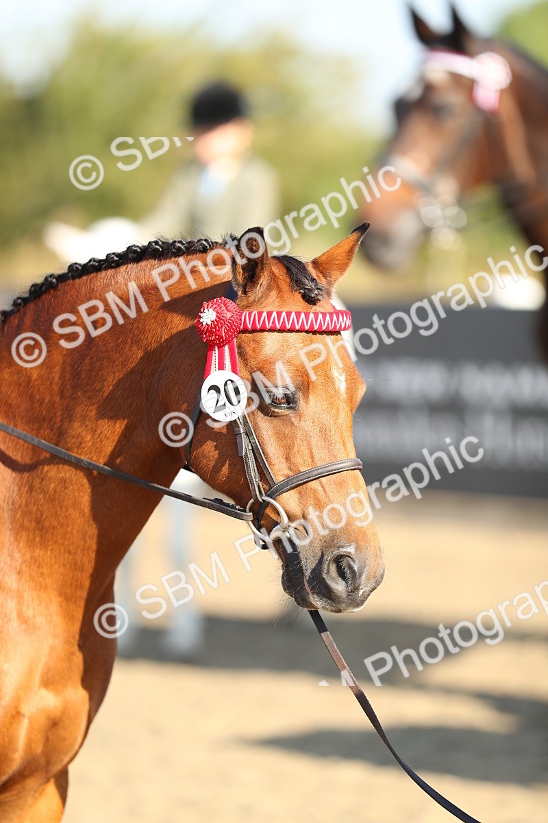 SBM_00386 - Class 41 Best Turned Out Ridden