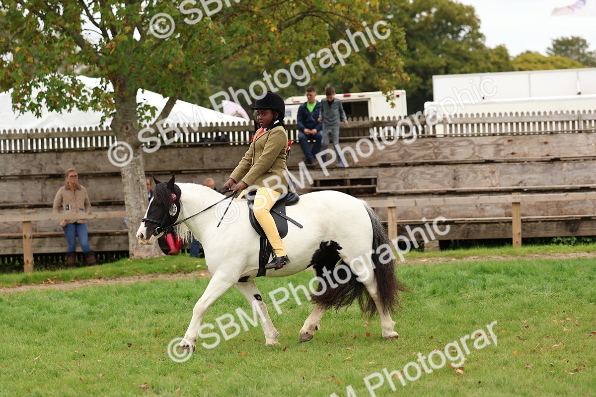 SBM_64584 - S58 - Coloured Pony Ridden