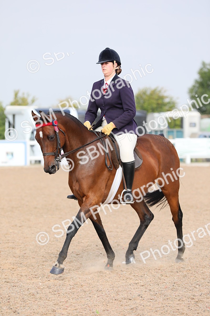 SBM_10884 - Class 304 Ridden Part Bred Horse/Pony