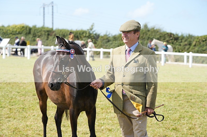 DSC07407 - Class 69: NPS Show Pony 4 years and over