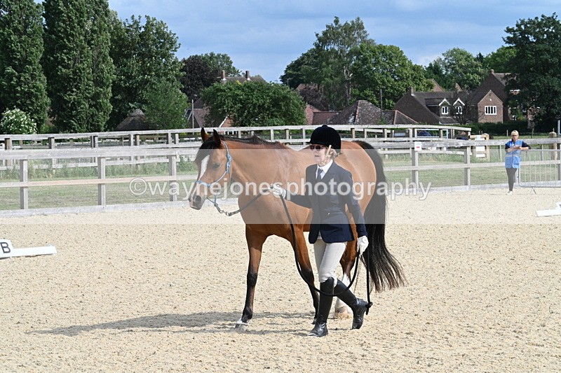 WJ7_8275 - Time 16:10 to 16:25