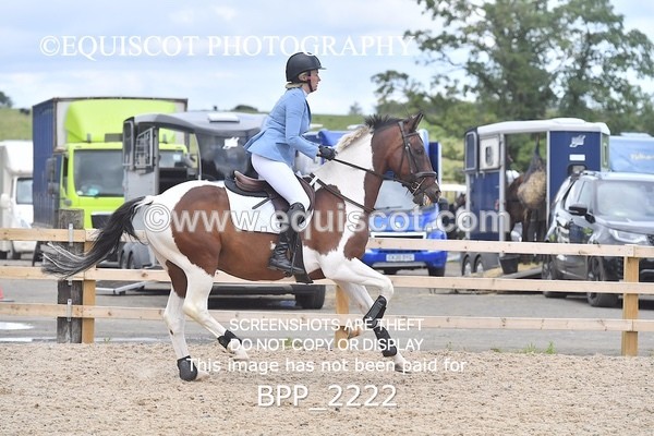 BPP_2222 - DERBY CLASS 6 - 70CM