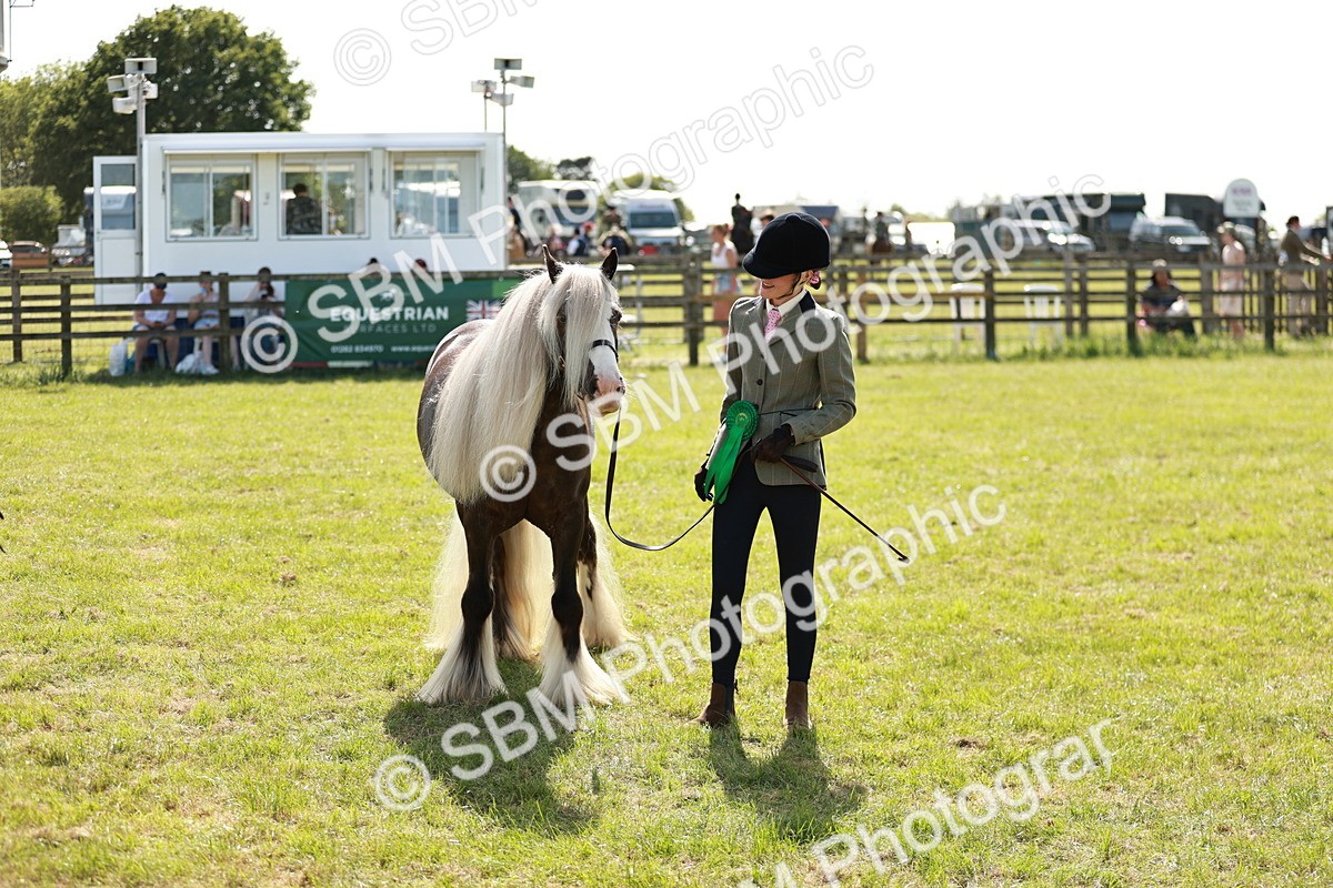 SBM_08925 - Class 63-65 - Traditional Gypsy Cobs In Hand & Ridden