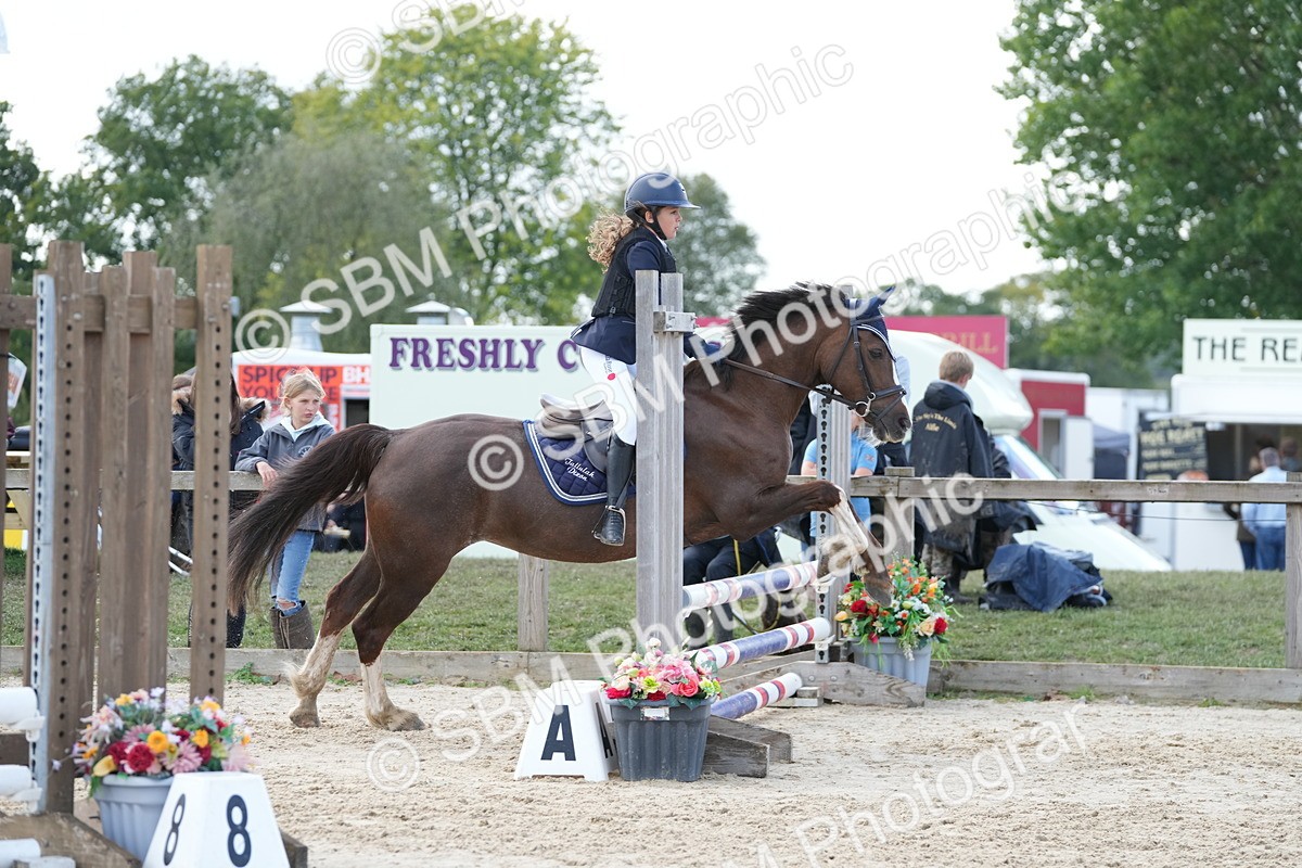 SBM_46815 - J7 - Junior Pony 60cm Championship