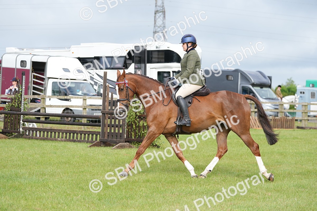 SBM_10586 - Class 97-98 - LIHS BSHA Rising Star Working Show Horse Hunter