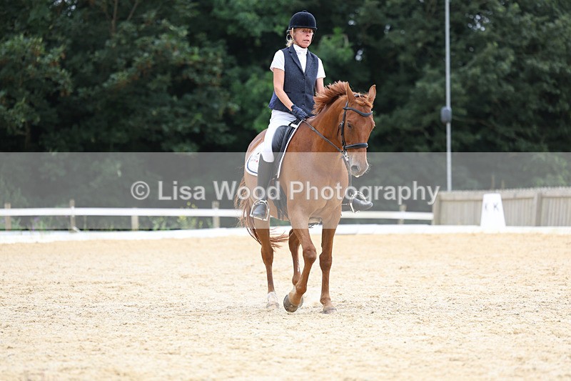 3E7A7213 - Class 9: Elementary 4 2024 - No sections