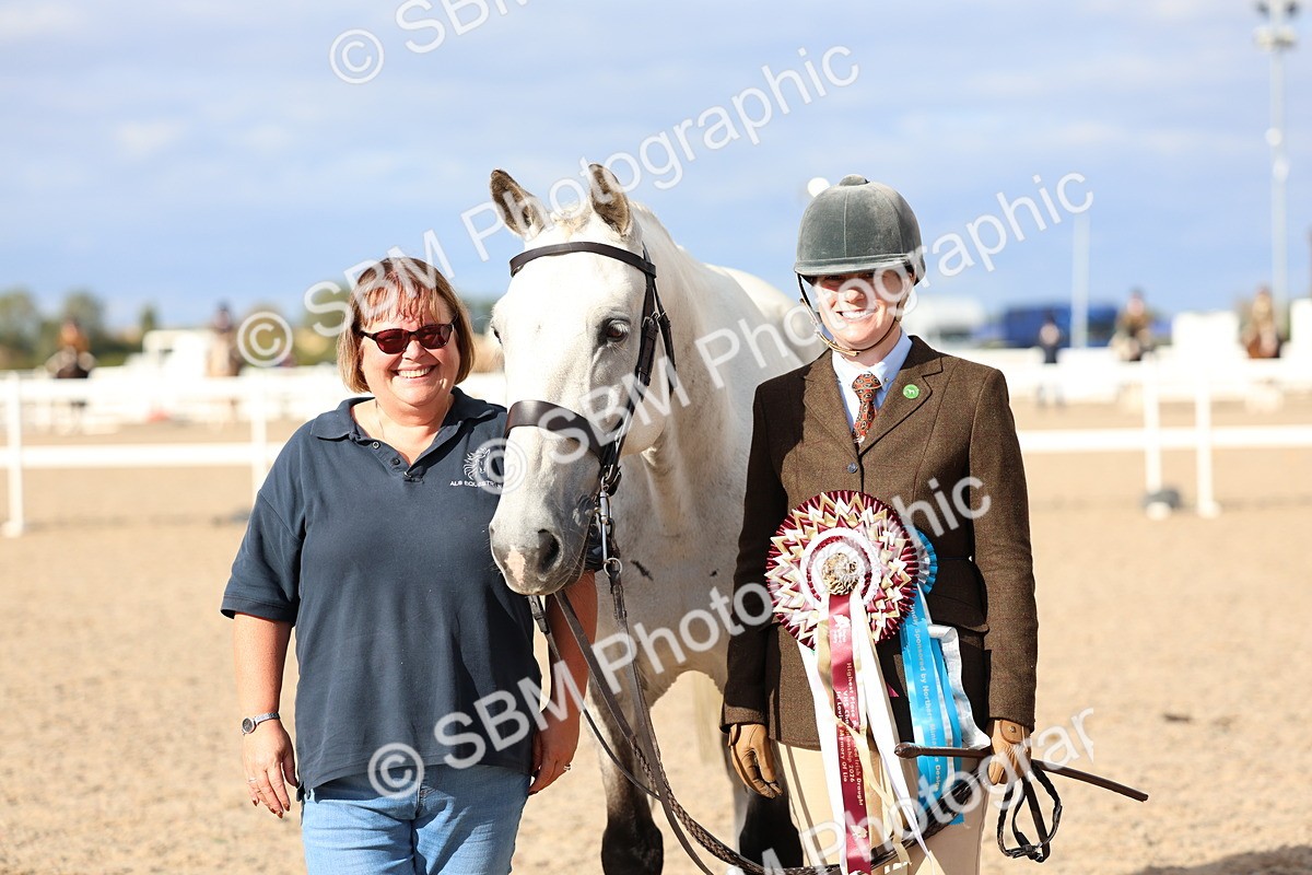 SBM_18797 - Class 317 - IH Pure Bred Horse-Pony